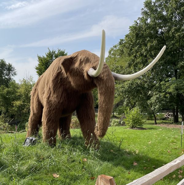 Giants Of The Ice Age