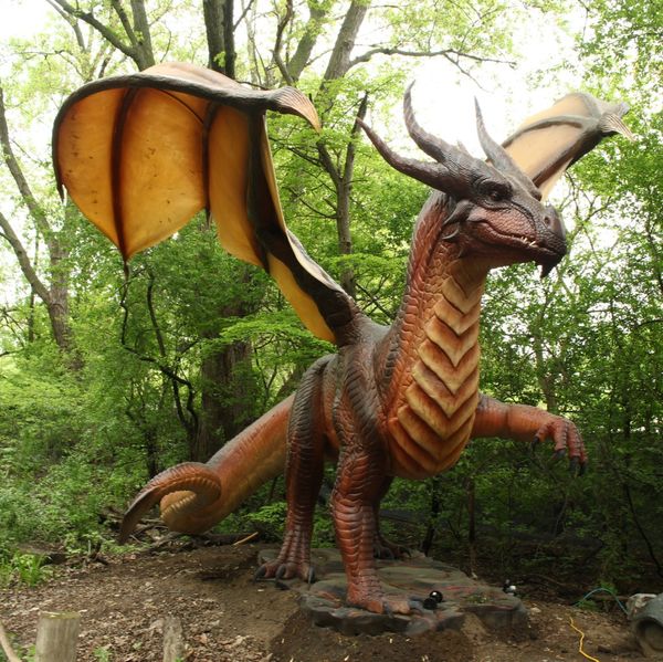 Dragons & Fantastic Beasts