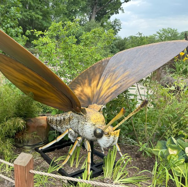 Pollinators