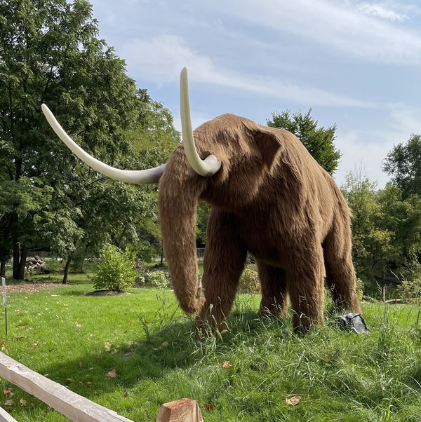 Giants Of The Ice Age
