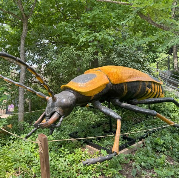 Pollinators