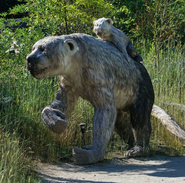 Dinos To Dodos