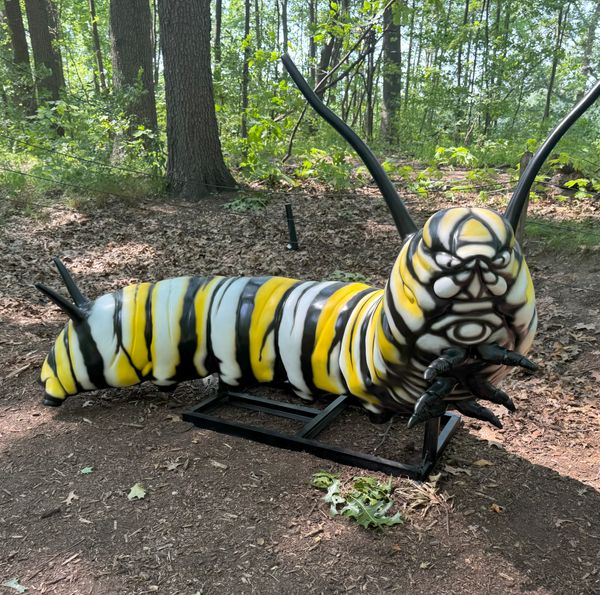Pollinators