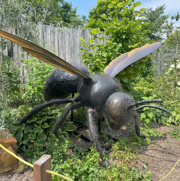 Pollinators