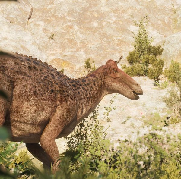 Ultimate T. rex
