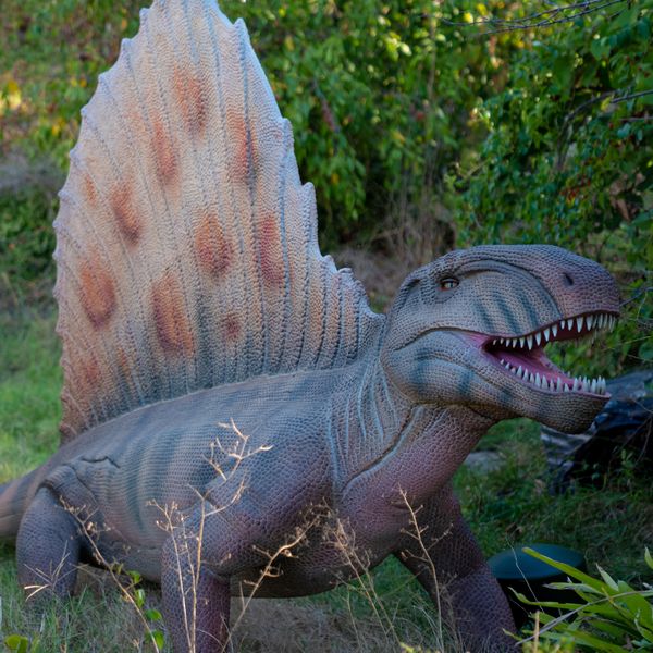 Dinos To Dodos