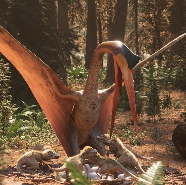 Ultimate T. rex