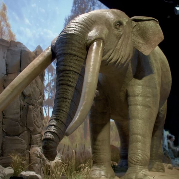 Giants Of The Ice Age