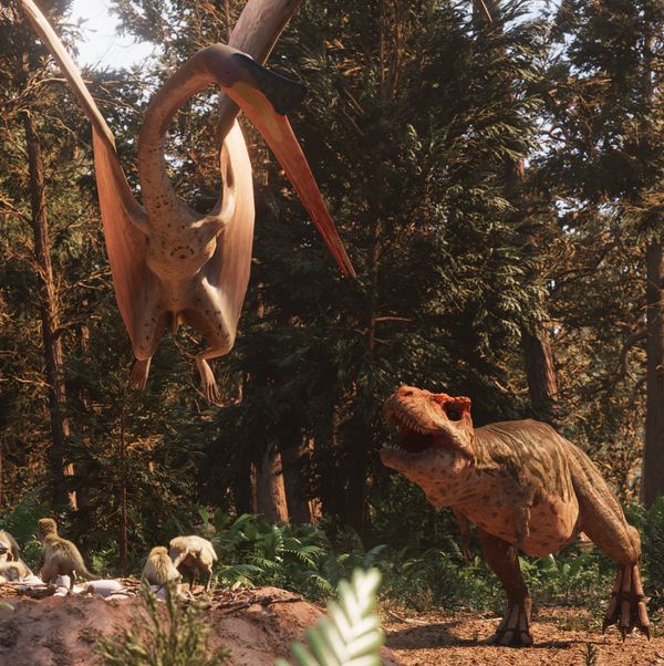 Ultimate T. rex