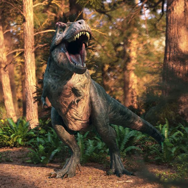 Ultimate T. rex
