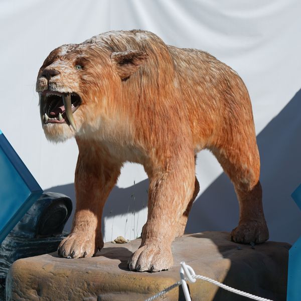 Giants Of The Ice Age