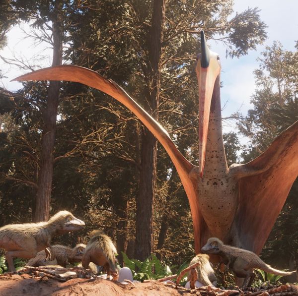 Ultimate T. rex