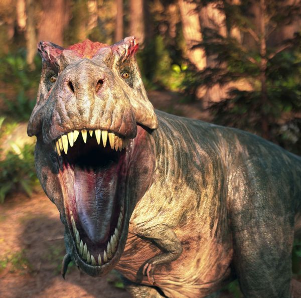 Ultimate T. rex